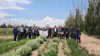 کارگاه عملی گلاب‌گیری در پایگاه تحقیقاتی سامیان اردبیل برگزار شد