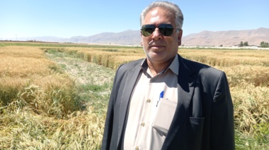 تحقیقات کشاورزی موتور محرک نوآوری و پایداری تولید در بخش کشاورزی
