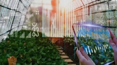 فراخوان استقرار شرکت‌های فعال حوزه گلخانه در زیست‌بوم نوآوری و فناوری گلخانه