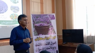 برگزاری دوره آموزشی ترویجی کاشت، داشت و برداشت زعفران