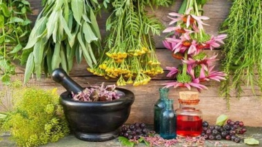 دوره تخصصی برداشت و فرآوری گیاهان دارویی و معطر