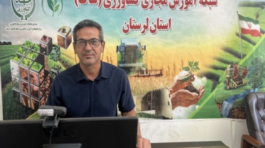 «سینه چوبی»؛ تهدیدی برای تولید و راهکارهای مهار آن در مرغداری‌ها