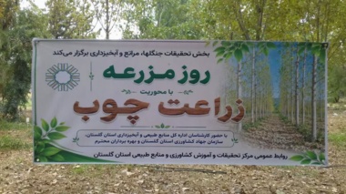 برگزاری رویدارد روز مزرعه با محوریت زراعت چوب در مرکز تحقیقات و آموزش کشاورزی گلستان