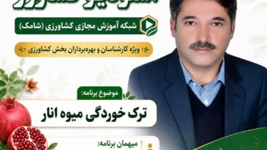ترک‌خوردگی انار؛ عارضه‌ای قابل‌کنترل با مدیریت علمی آب، خاک و تغذیه