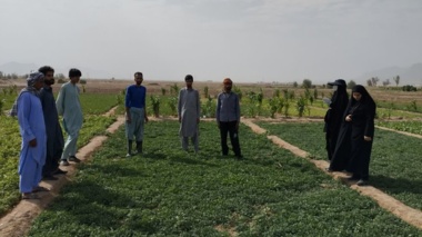 دوره آموزشی «تولید و پرورش گیاهان سبزی و صیفی» در روستای عباس آباد شهرستان خاش