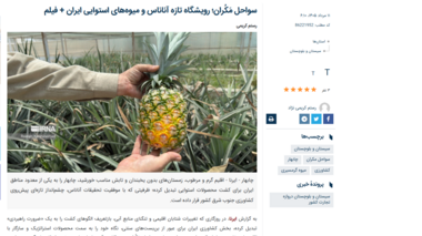 سواحل مَکُران؛ رویشگاه تازه آناناس و میوه‌های استوایی ایران