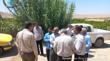 تأکید بر مدیریت جامع آفات، بهداشت باغ و تغذیه تلفیقی برای افزایش کیفیت محصول