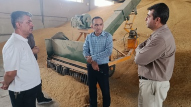 بازدید کارشناس مسئول واحد استانی آذربایجان غربی از شرکت فرآوری بذر تعاون روستایی بوکان