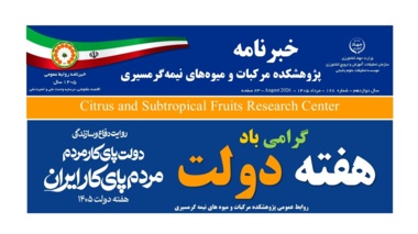 انتشار یکصد و بیست و هشتمین شماره خبرنامه پژوهشکده مرکبات و میوه های نیمه گرمسیری ویژه مرداد ماه 1405
