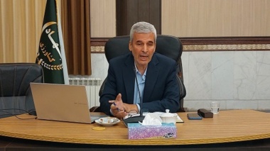 طهماسبی: آینده زنبورداری نیازمند نگاه جامع به چالش‌ها و فرصت‌هاست