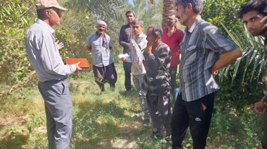 آموزش عملی مقابله با نماتد مرکبات در فهرج