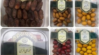 معرفی دستاوردهای پژوهشکده خرما در نمایشگاه تخصصی خرما