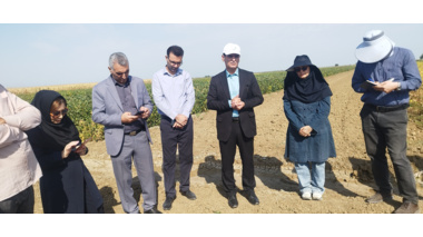 یازدهمین کاروان ترویج بهره‌وری الگوی کشت ملی در پارس‌آباد مغان به راه افتاد