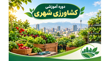 برگزاری دوره آموزشی کشاورزی شهری جهت آشنایی با الگوهای نوین تولید و مدیریت منابع در محیط‌های شهری