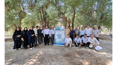 برگزاری کارگاه آموزشی -ترویجی مدیریت آفات گوجه‌فرنگی در شهرستان دیر