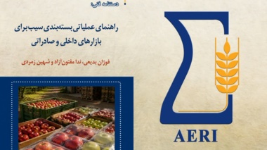 انتشار دستنامه فنی «راهنمای عملیاتی بسته‌بندی سیب برای بازارهای داخلی و صادراتی»