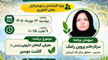 توسعه زنجیره ارزش «موسیر» در مزارع لرستان؛ گامی عملیاتی برای تحول در اقتصاد کشاورزان