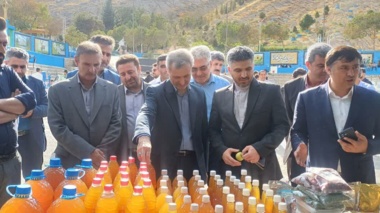 پنل تخصصی رویداد دانش‌بنیان سیب شیروان، امروز در محل هتل رضا شیروان برگزار شد