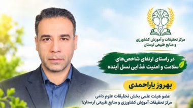 تخم‌مرغ؛ گنجینه‌ای مغذی برای سلامت جامعه/ تأکید بهروز یاراحمدی بر نقش حیاتی پروتئین‌های دامی در سبد غذایی خانوار