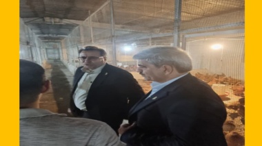 بازدید معاون پژوهشی سازمان تات از پروژه‌های تحقیقاتی مؤسسه تحقیقات علوم دامی کشور