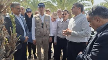 بازدید نماینده فائو از باغات خرمای شرکت کشت و صنعت جیرفت