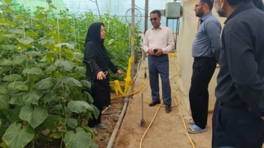 بازدید تخصصی رئیس بخش تحقیقات گیاه‌پزشکی مرکز تحقیقات کشاورزی استان کرمان از مجتمع گلخانه‌ای زرند