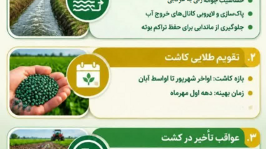 دستورالعمل فنی کشت چغندرقند پاییزه در استان خوزستان