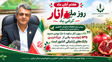 کلکسیون ژنتیکی انار ساوه؛ پشتوانه‌ای ارزشمند برای مقابله با تغییرات اقلیمی