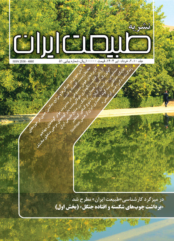 شماره ۵۱