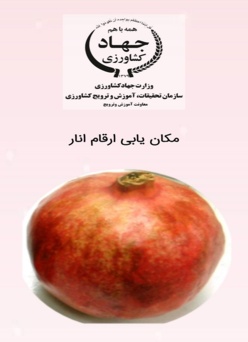 مکان یابی ارقام انار