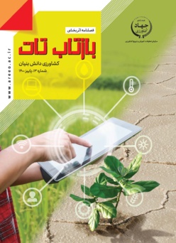 فصلنامه شماره 13