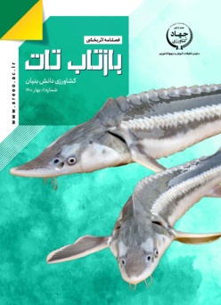 فصلنامه شماره 11