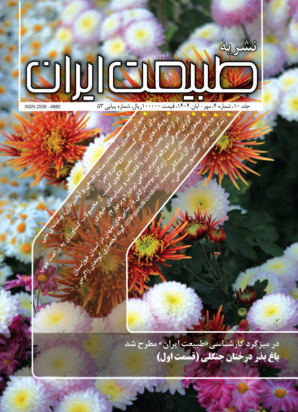 شماره 53