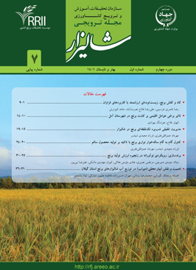 مجله شماره 7