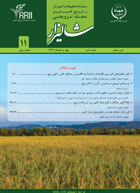 مجله شماره 11