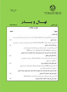 نهال و بذر