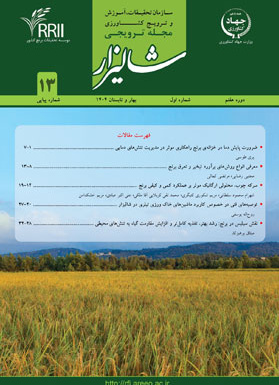 مجله شماره 13
