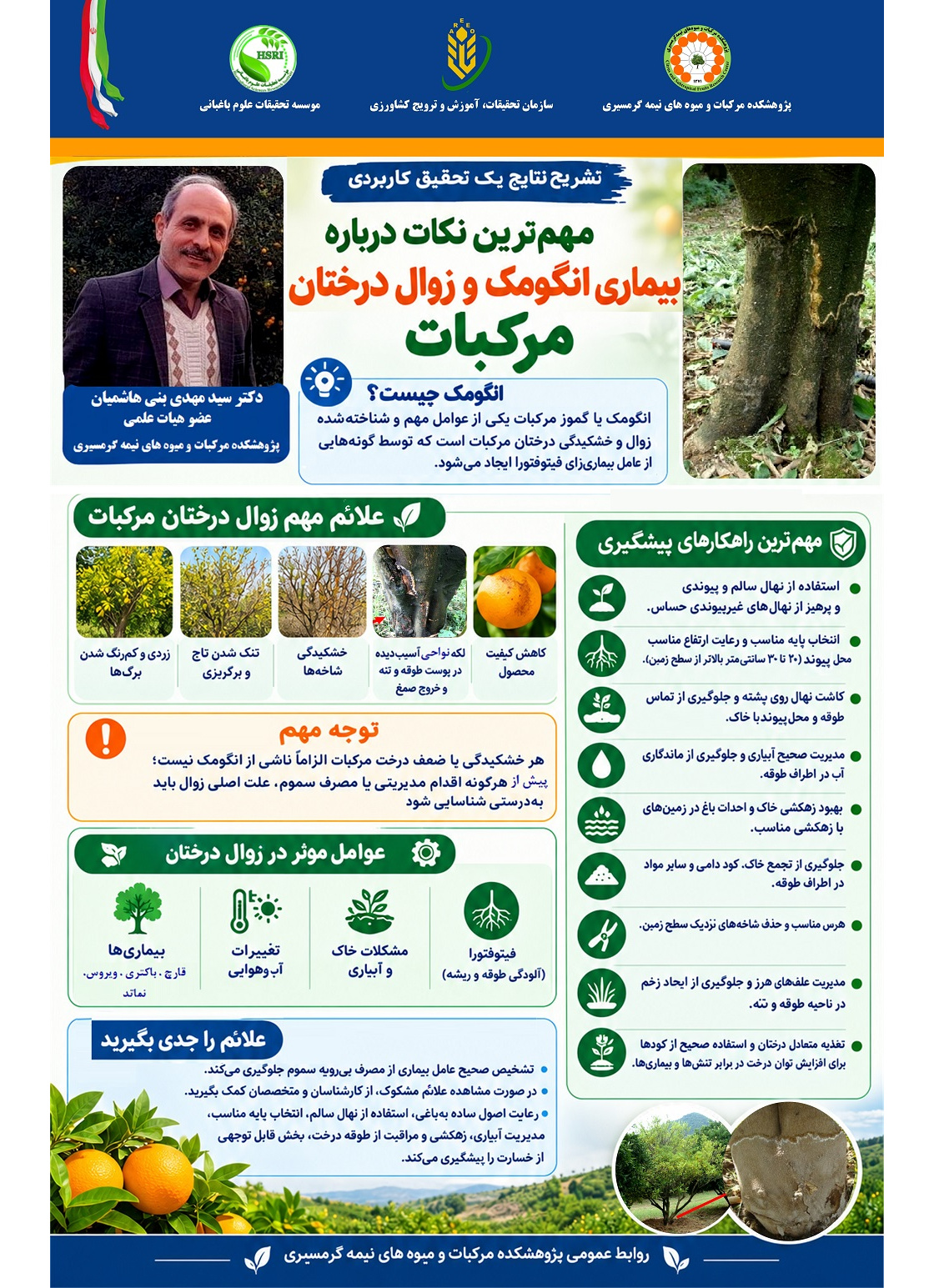 اینفوگرافیک بیماری انگومک یکی از علل شایع زوال درختان مرکبات در ایران