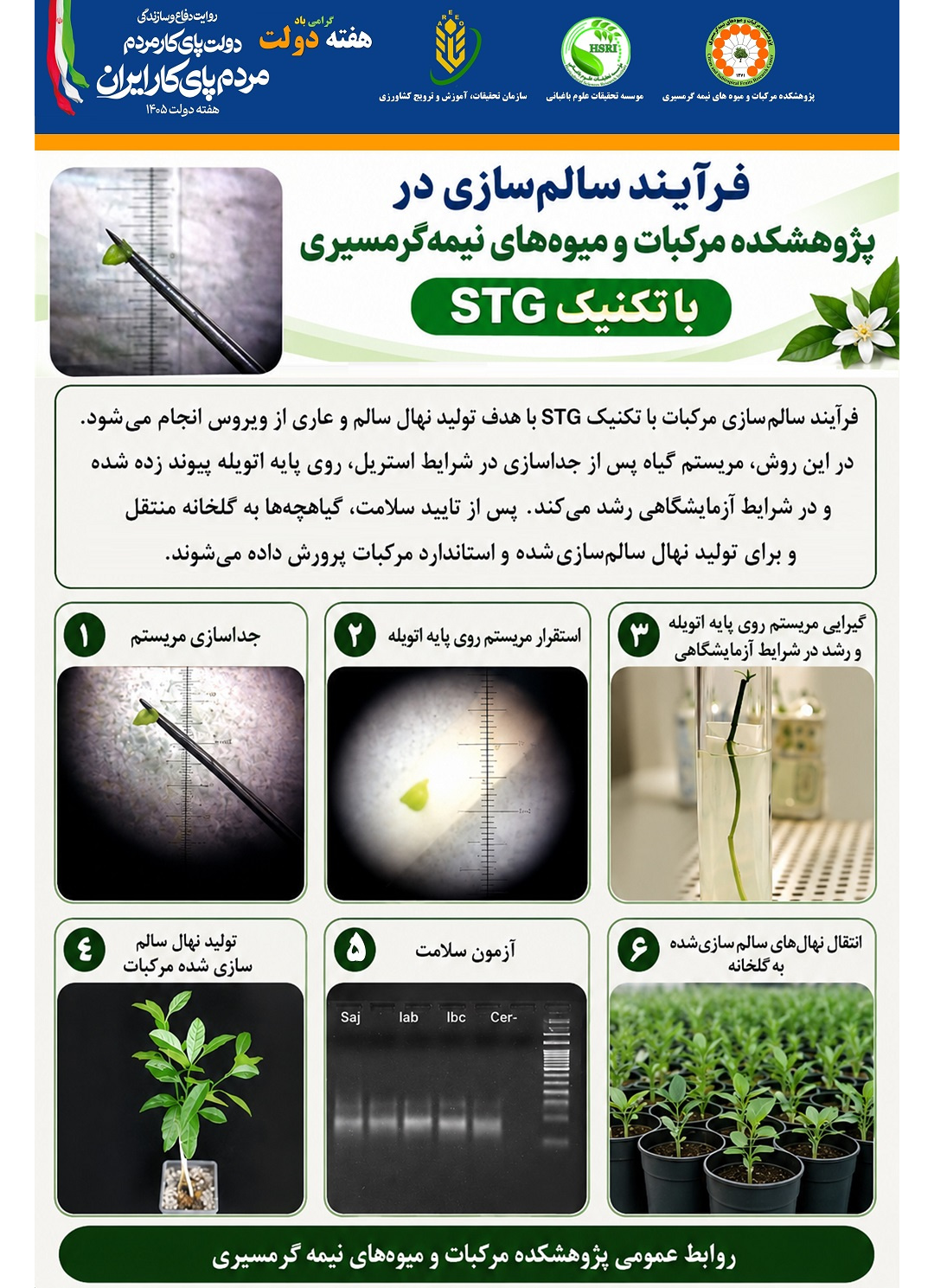 اینفوگرافیک فرایند سالم سازی با تکنیک STG