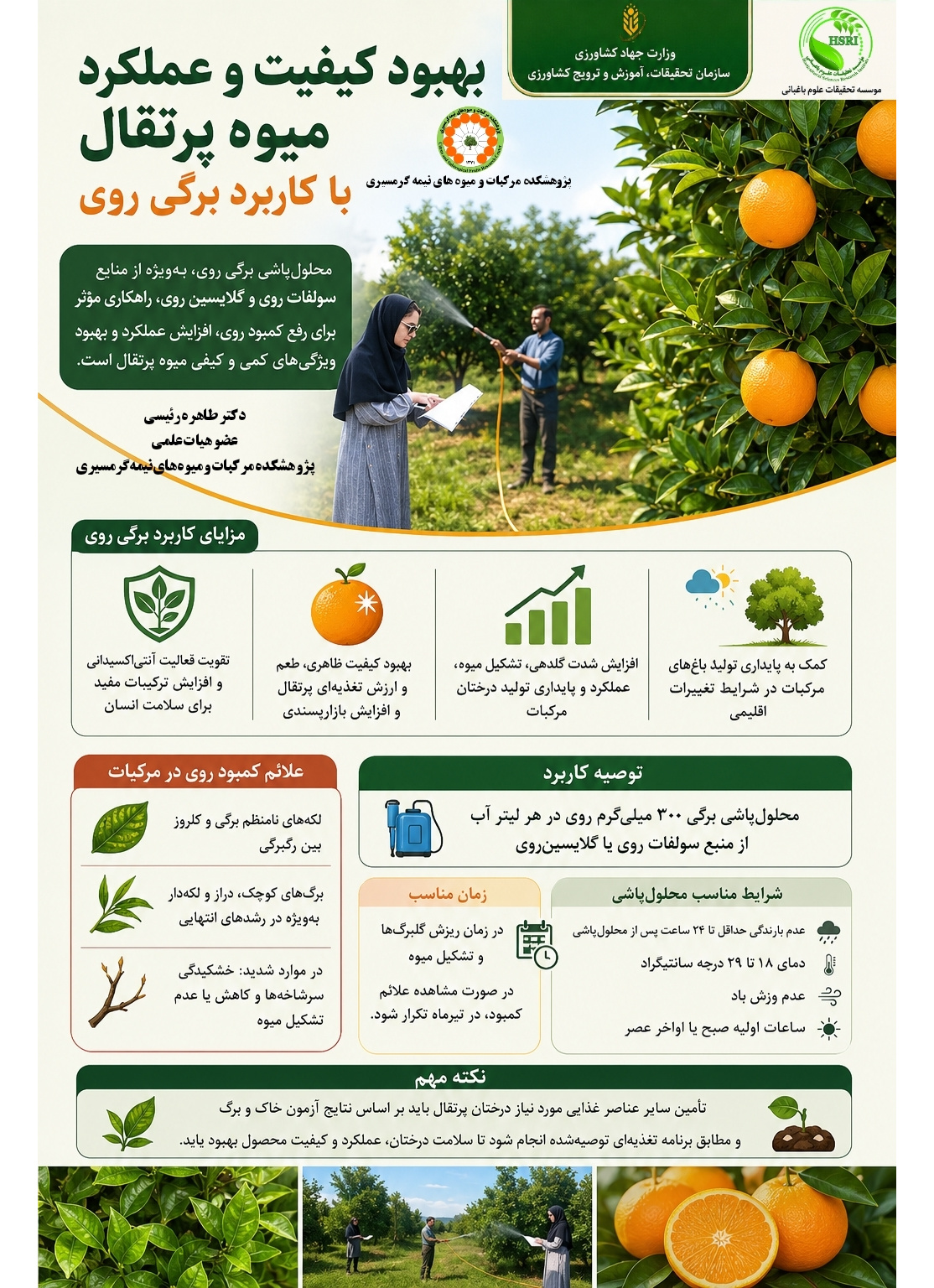 اینفوگرافیک بهبود کیفیت و عملکرد میوه پرتقال با کاربرد برگی روی