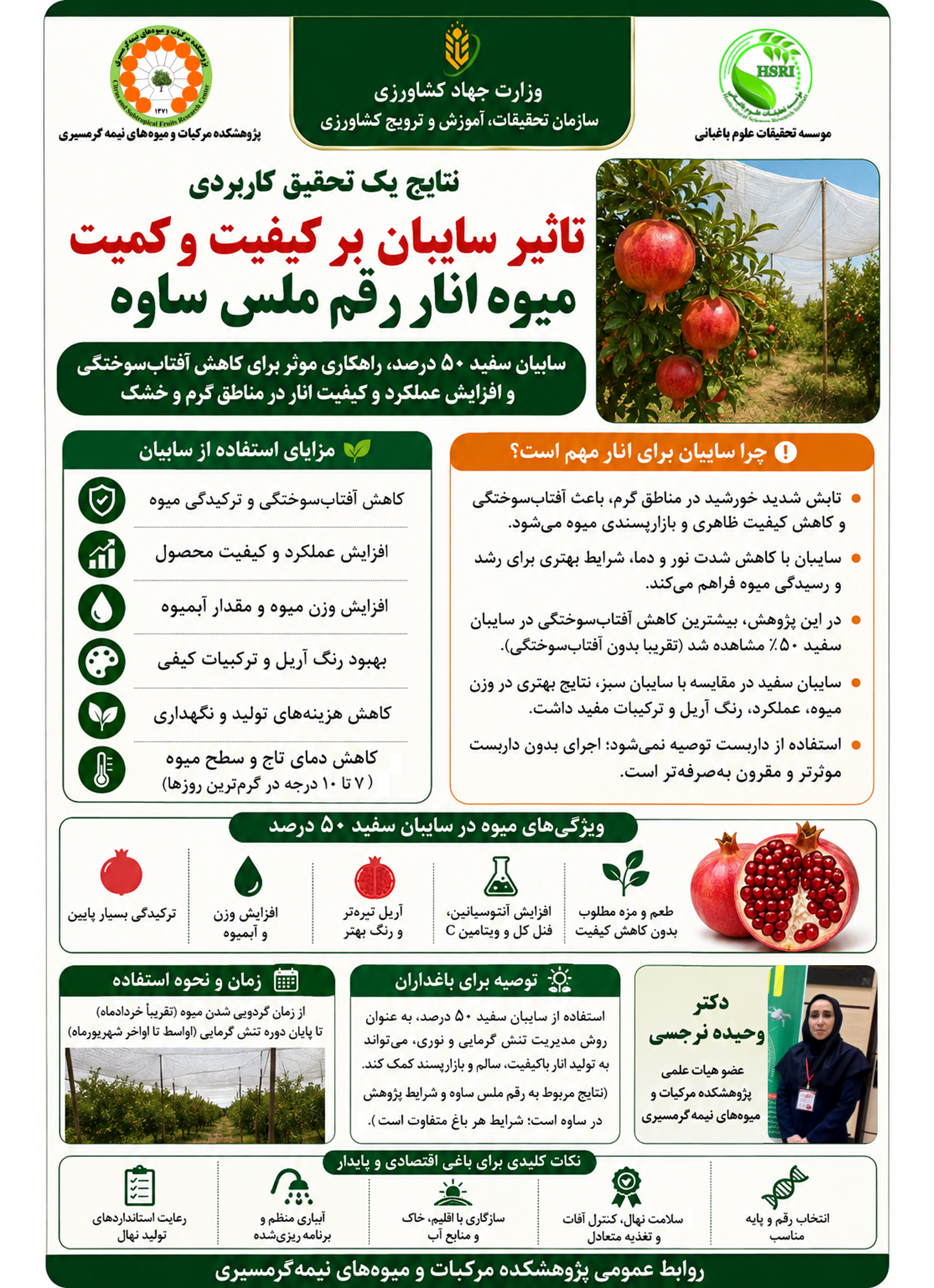 اینفوگرافیک تاثیر سایبان بر کیفیت و عملکرد انار