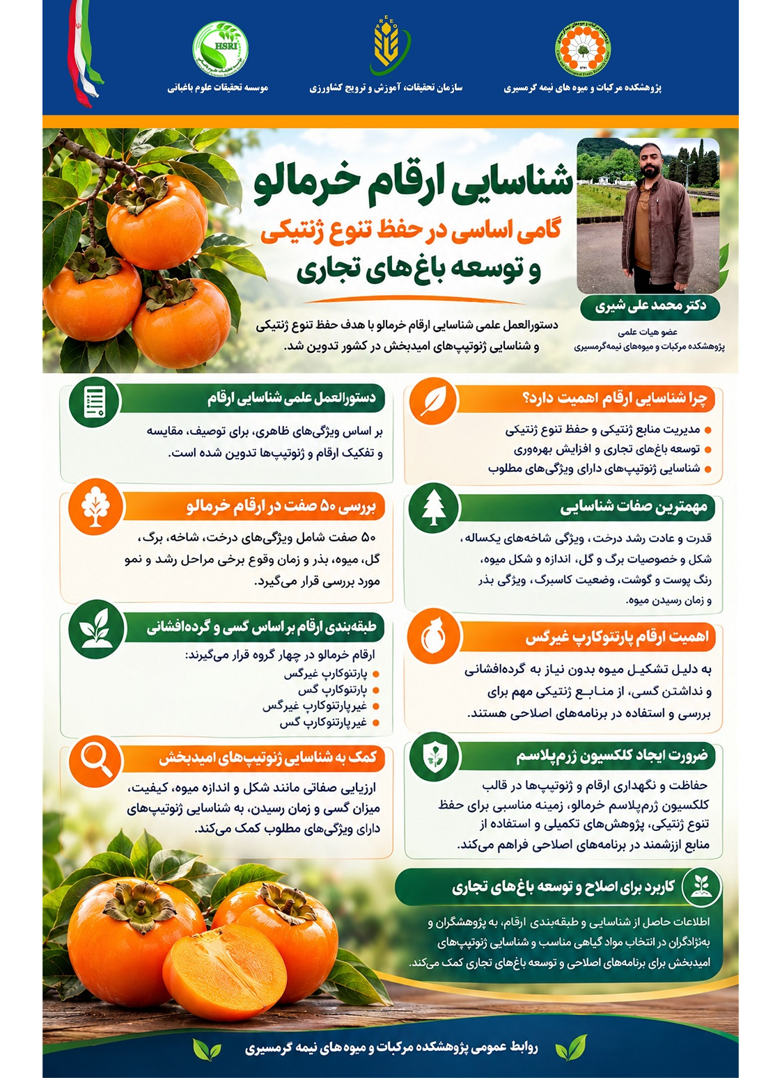 اینفوگرافیک دستورالعمل علمی شناسایی ارقام خرمالو