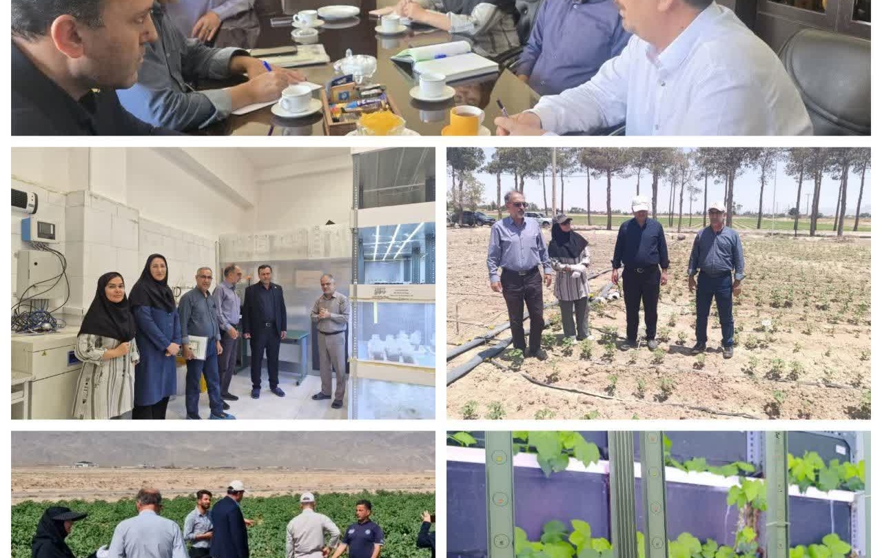 بازدید از طرح ها و مزارع پنبه اصفهان