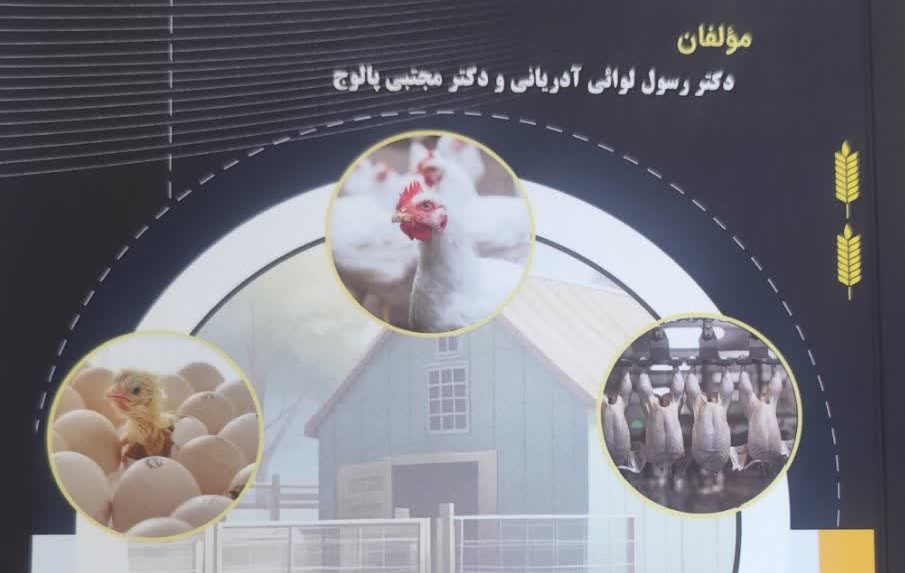 تالیف کتاب زنجیره ارزش غذا