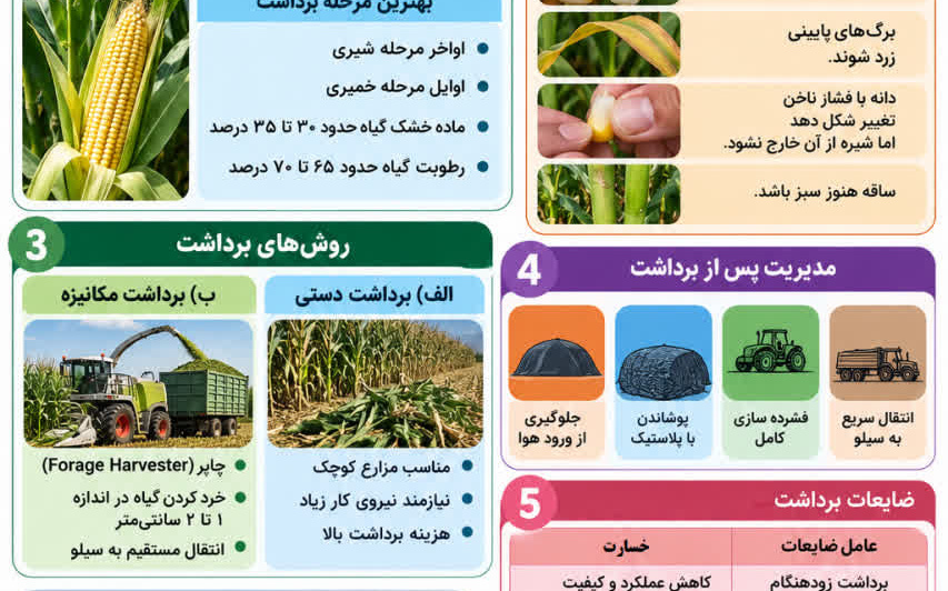 برداشت ذرت