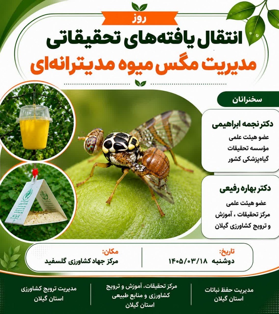 ترویج راهکارهای کنترل مگس میوه