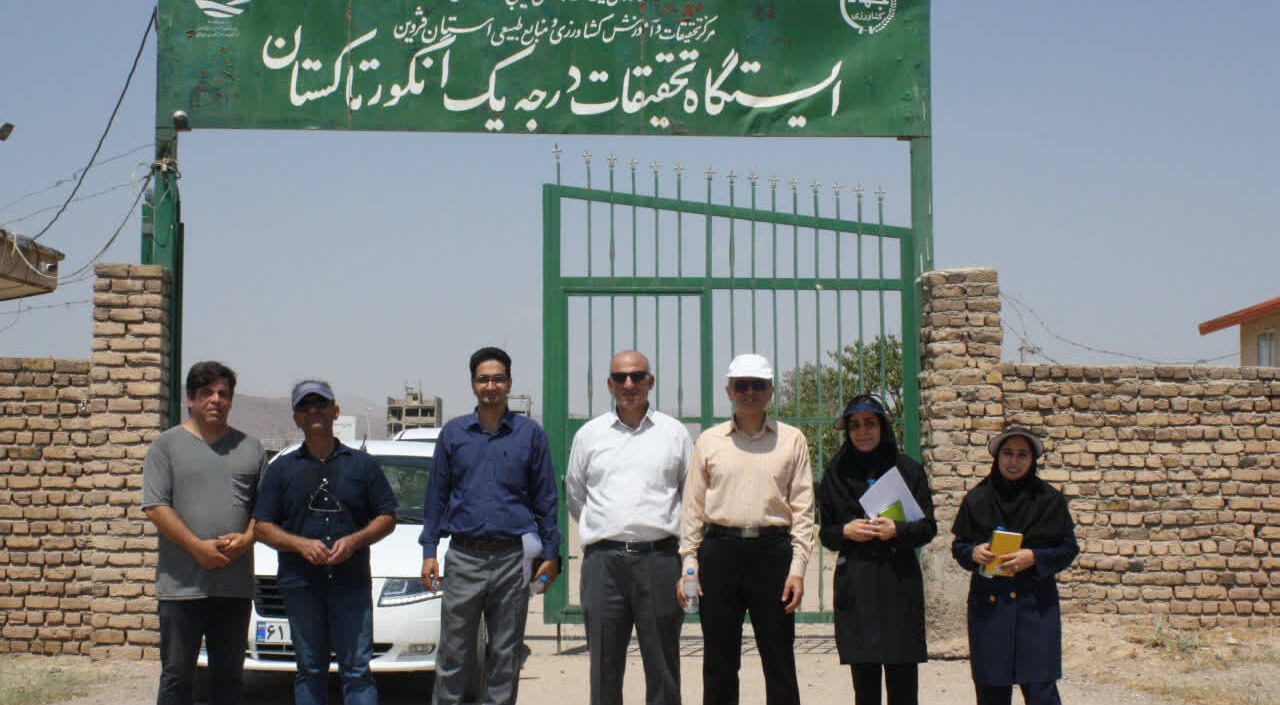 گام مؤثر در حفظ ذخائر ژنیتیکی انگور؛  بازدید از کلکسیون منابع ژنتیکی انگور تاکستان