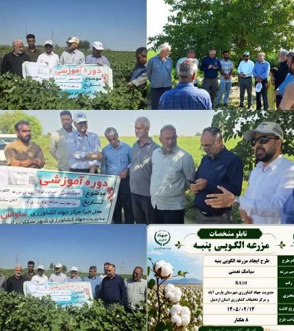 کارگاه آموزشی مبارزه تلفیقی با آفات پنبه برگزار شد