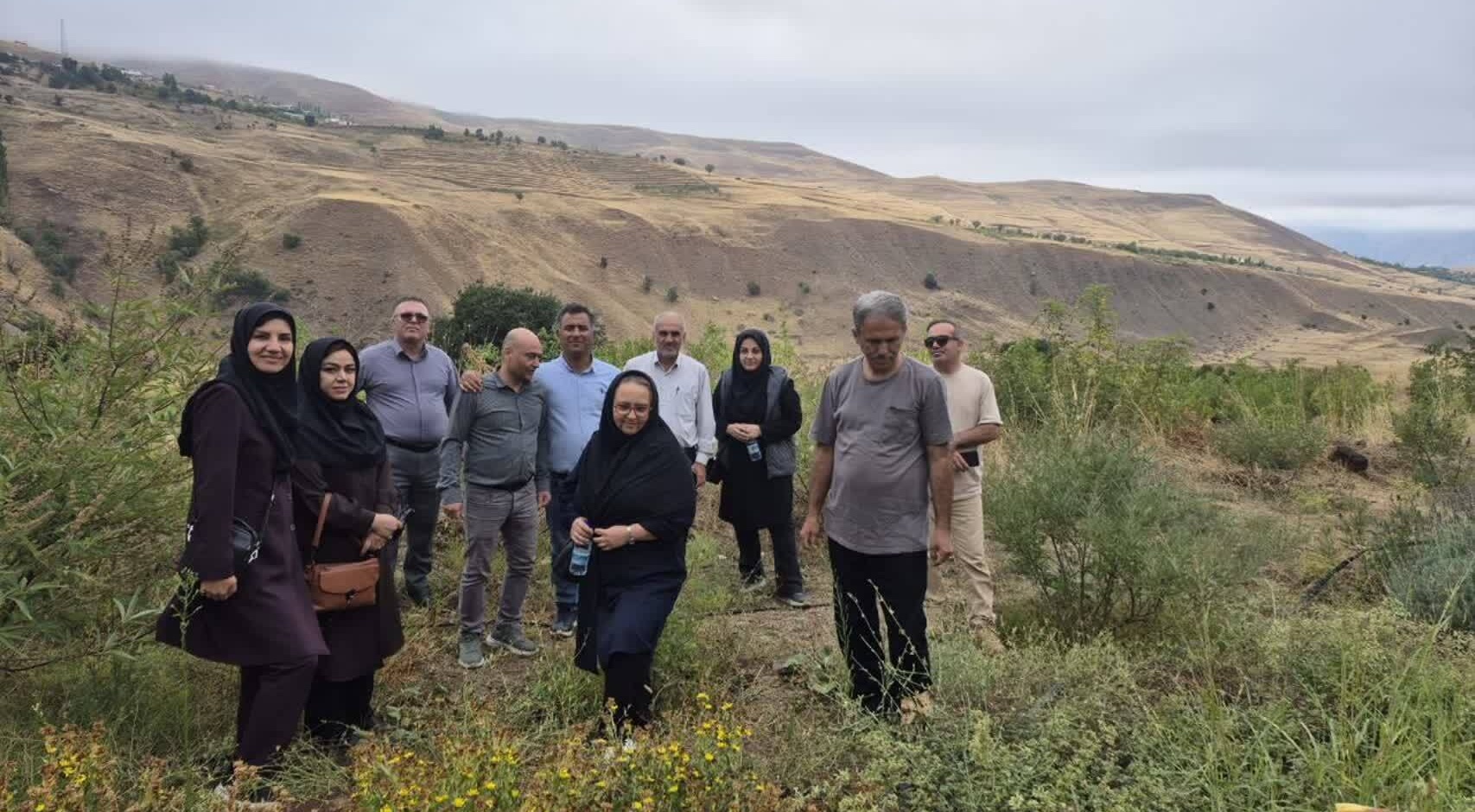 هم افزایی با سازمان جهادکشاورزی استان؛ کارشناسان مدیریت باغبانی ستادی و شهرستانی استان در ایستگاه تحقیقات گیاهان دارویی زرآباد الموت