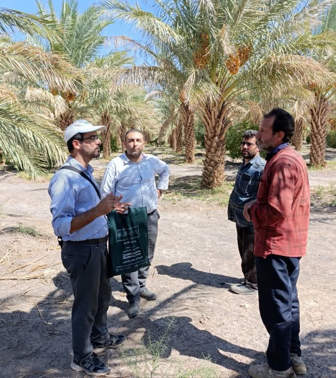 بررسی وضعیت آفات، بیماریها و مدیریت تغذیه مزارع و باغات دهستان طرود در قالب طرح «محققین معین»